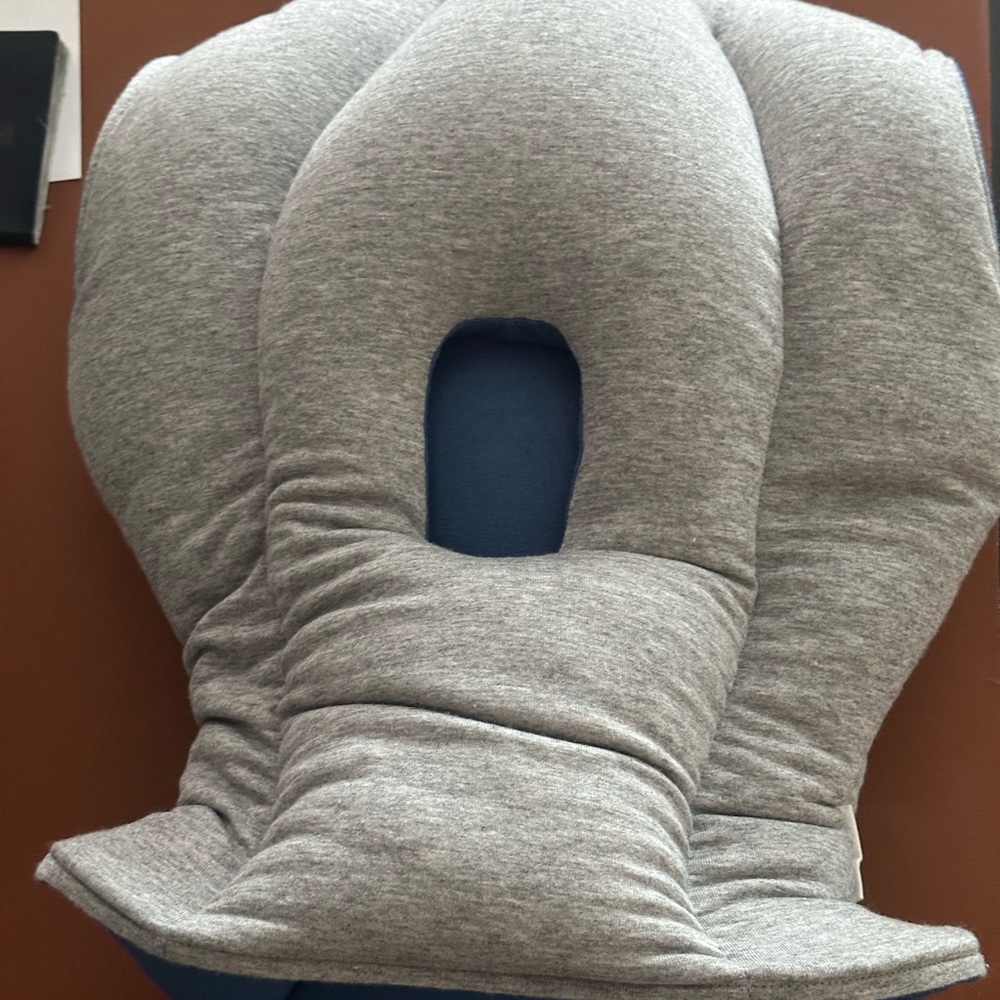 Gray Ostrich Travel Pillow